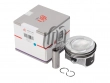Поршнекомплект с кольцами VW CAXA/CAXC d76.5 0.25мм United Motors Pro
